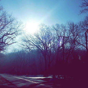 Meet your Posher, Liza